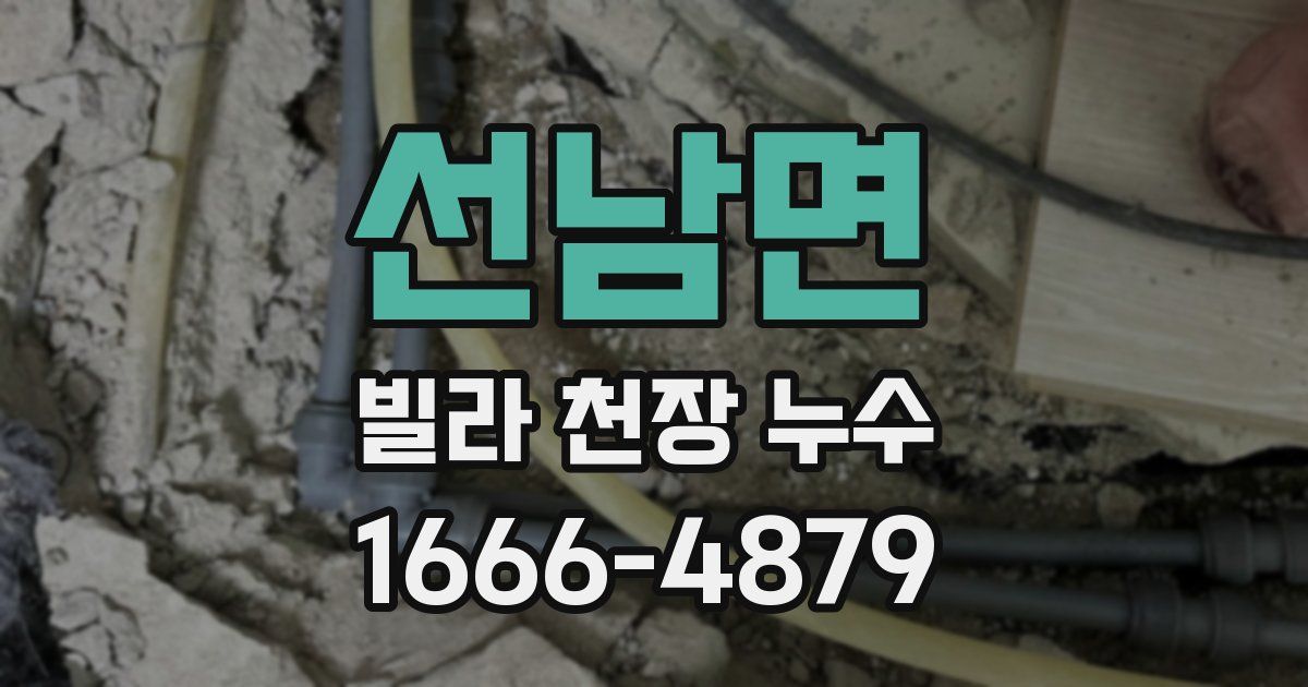선남면 빌라 천장 누수