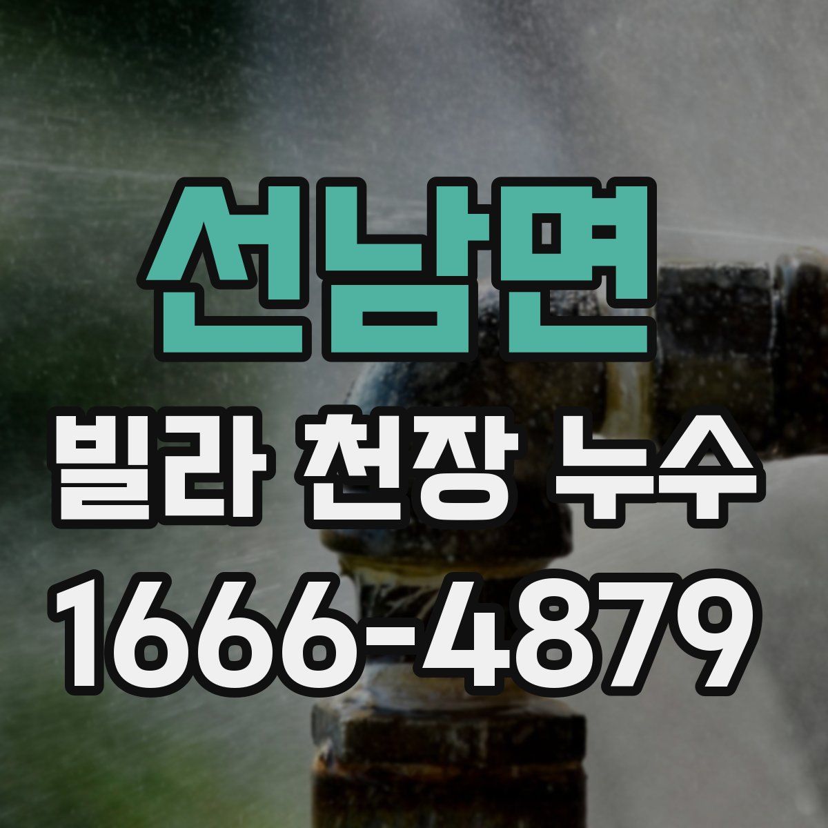 선남면 빌라 천장 누수