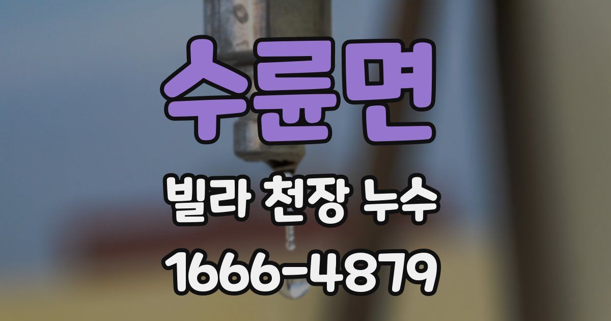 수륜면 빌라 천장 누수