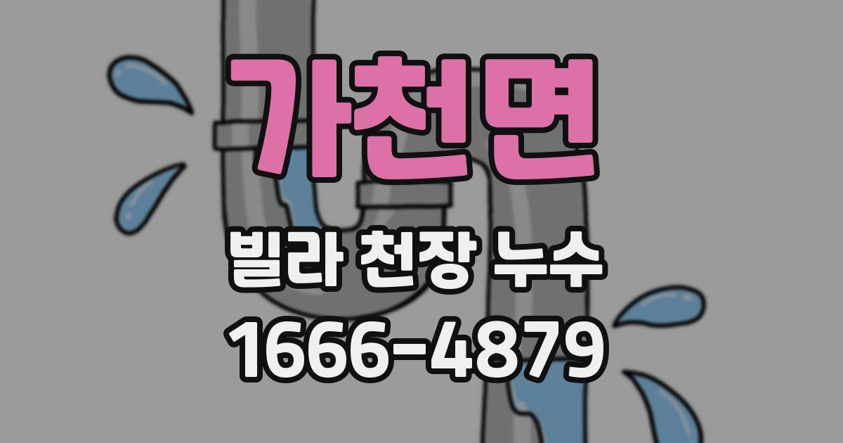 가천면 빌라 천장 누수
