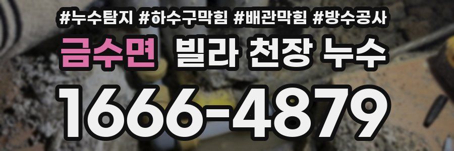 금수면 빌라 천장 누수