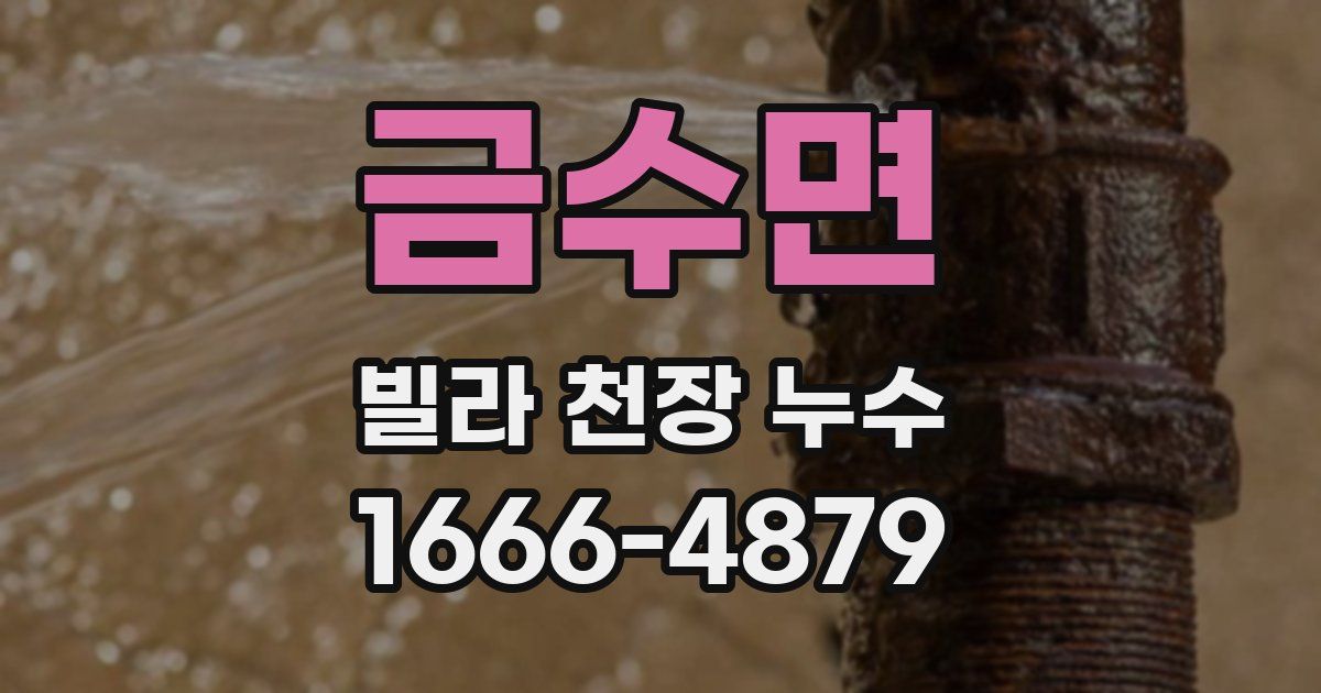 금수면 빌라 천장 누수