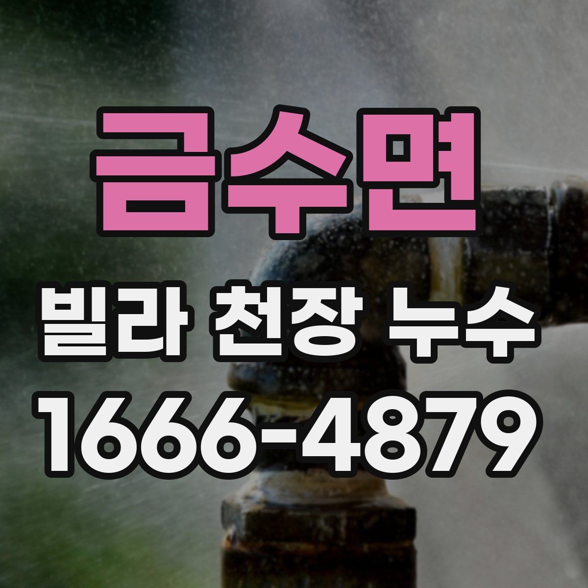 금수면 빌라 천장 누수
