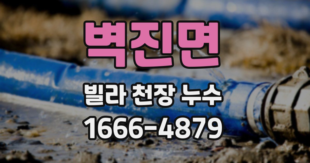 벽진면 빌라 천장 누수