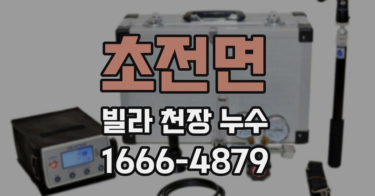 초전면 빌라 천장 누수