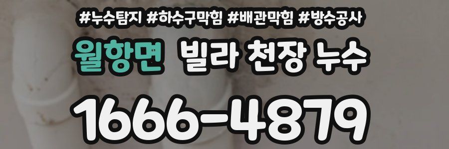 월항면 빌라 천장 누수