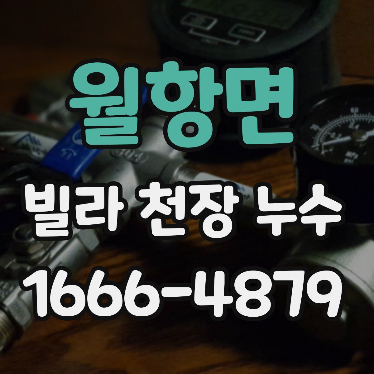 월항면 빌라 천장 누수