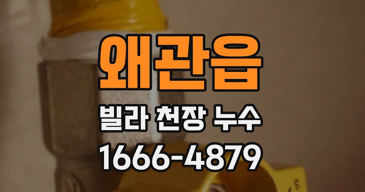 왜관읍 빌라 천장 누수