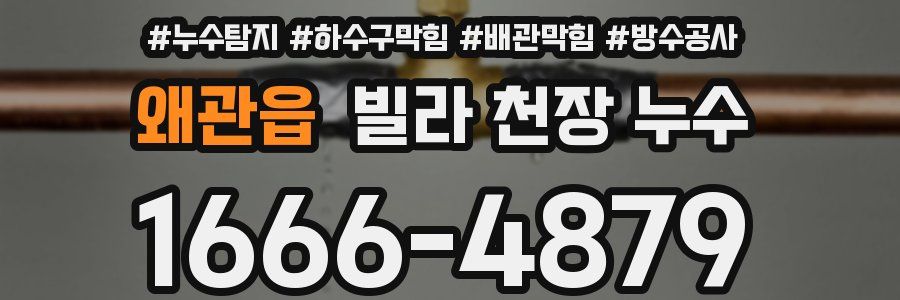 왜관읍 빌라 천장 누수
