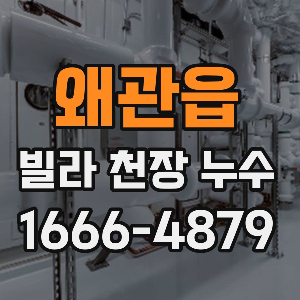 왜관읍 빌라 천장 누수