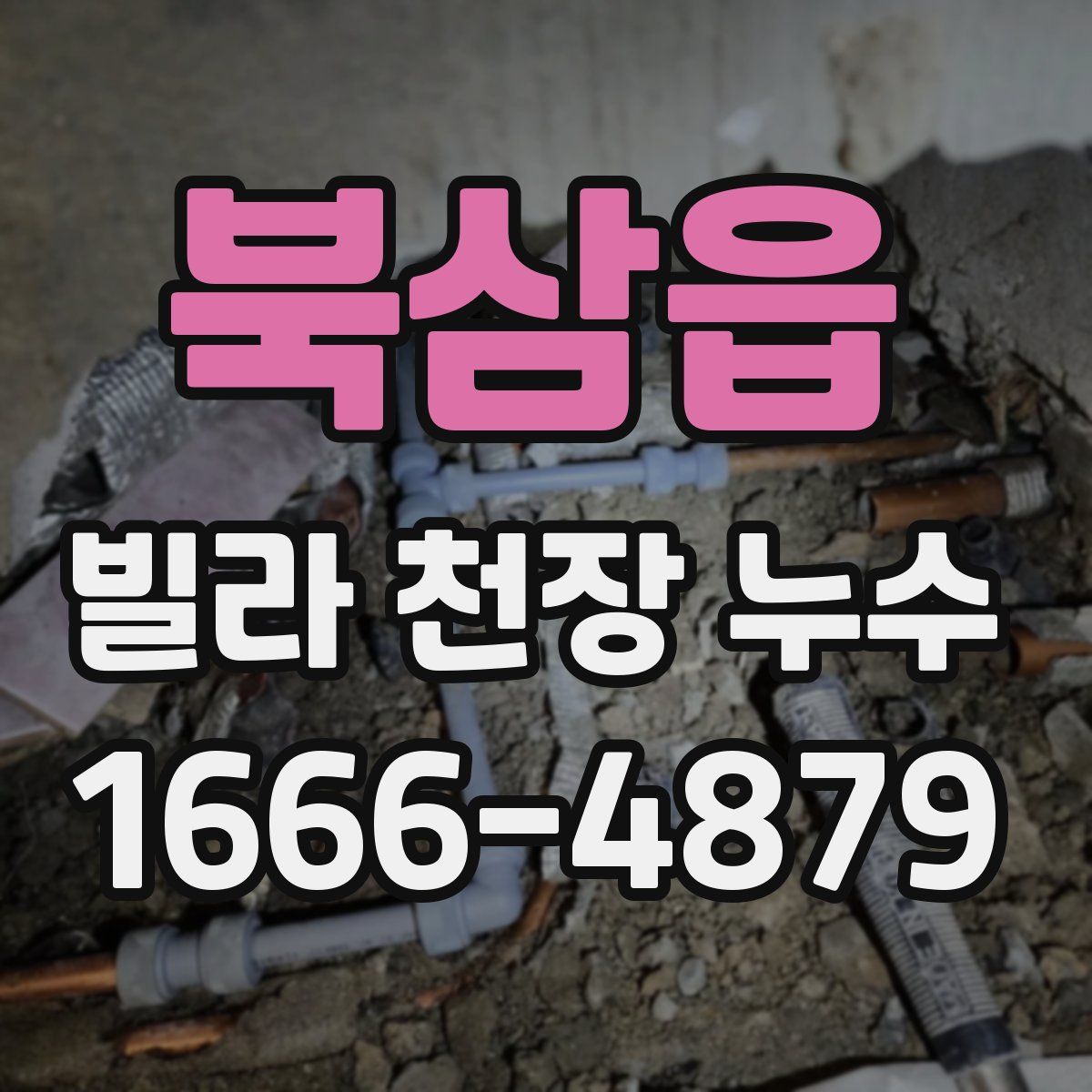 북삼읍 빌라 천장 누수