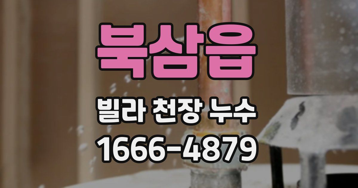 북삼읍 빌라 천장 누수