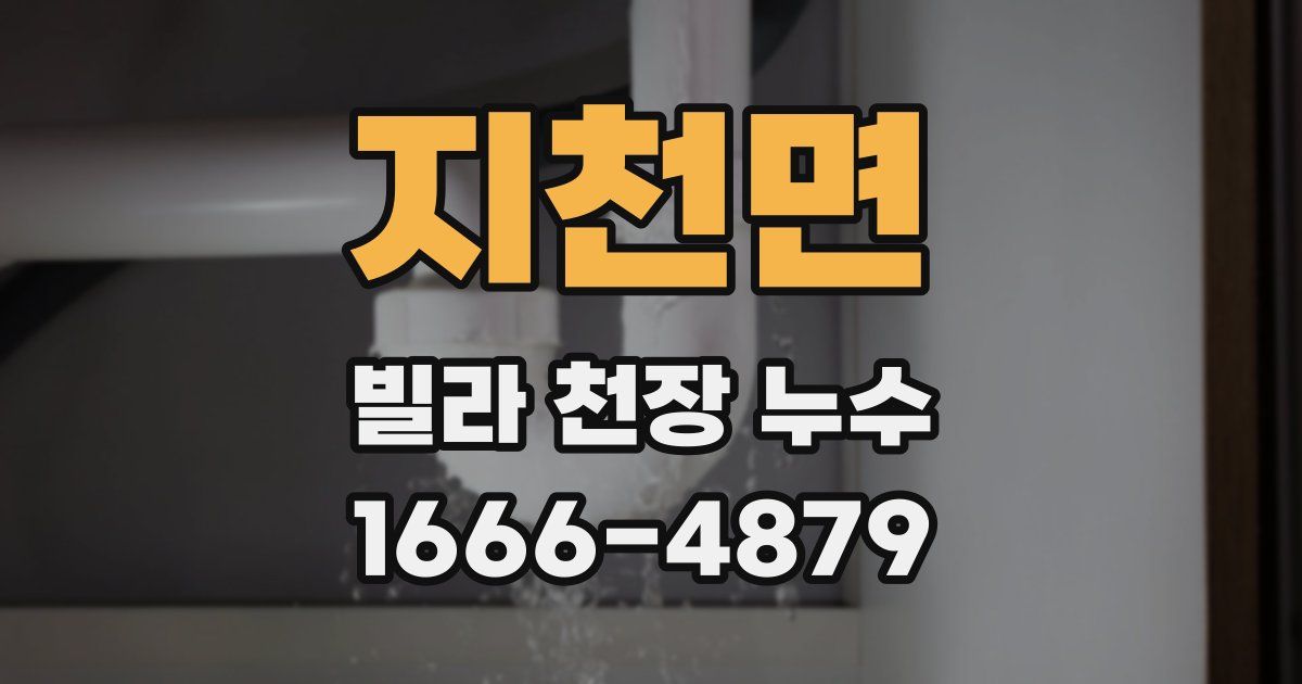 지천면 빌라 천장 누수