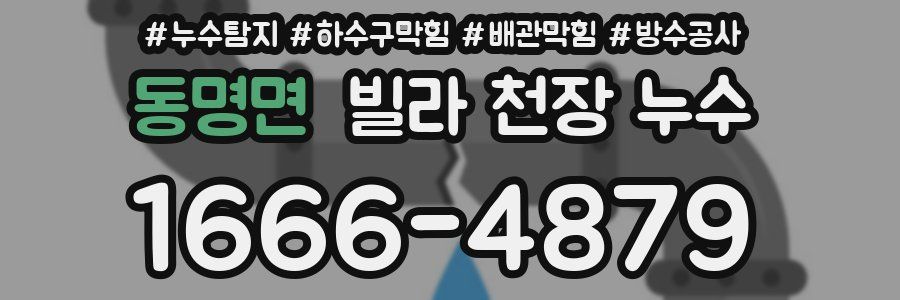 동명면 빌라 천장 누수