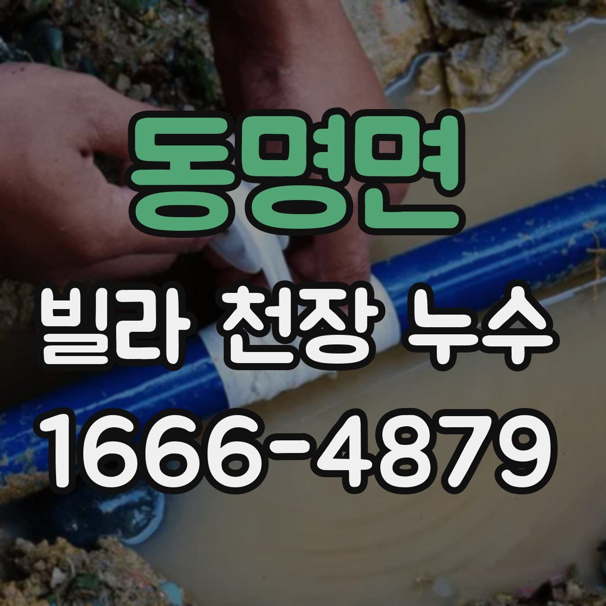 동명면 빌라 천장 누수