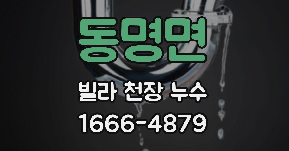 동명면 빌라 천장 누수