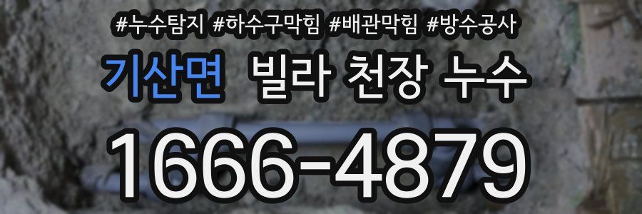 기산면 빌라 천장 누수
