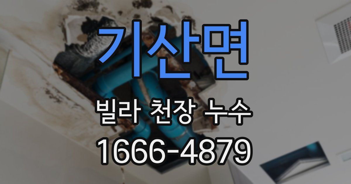 기산면 빌라 천장 누수
