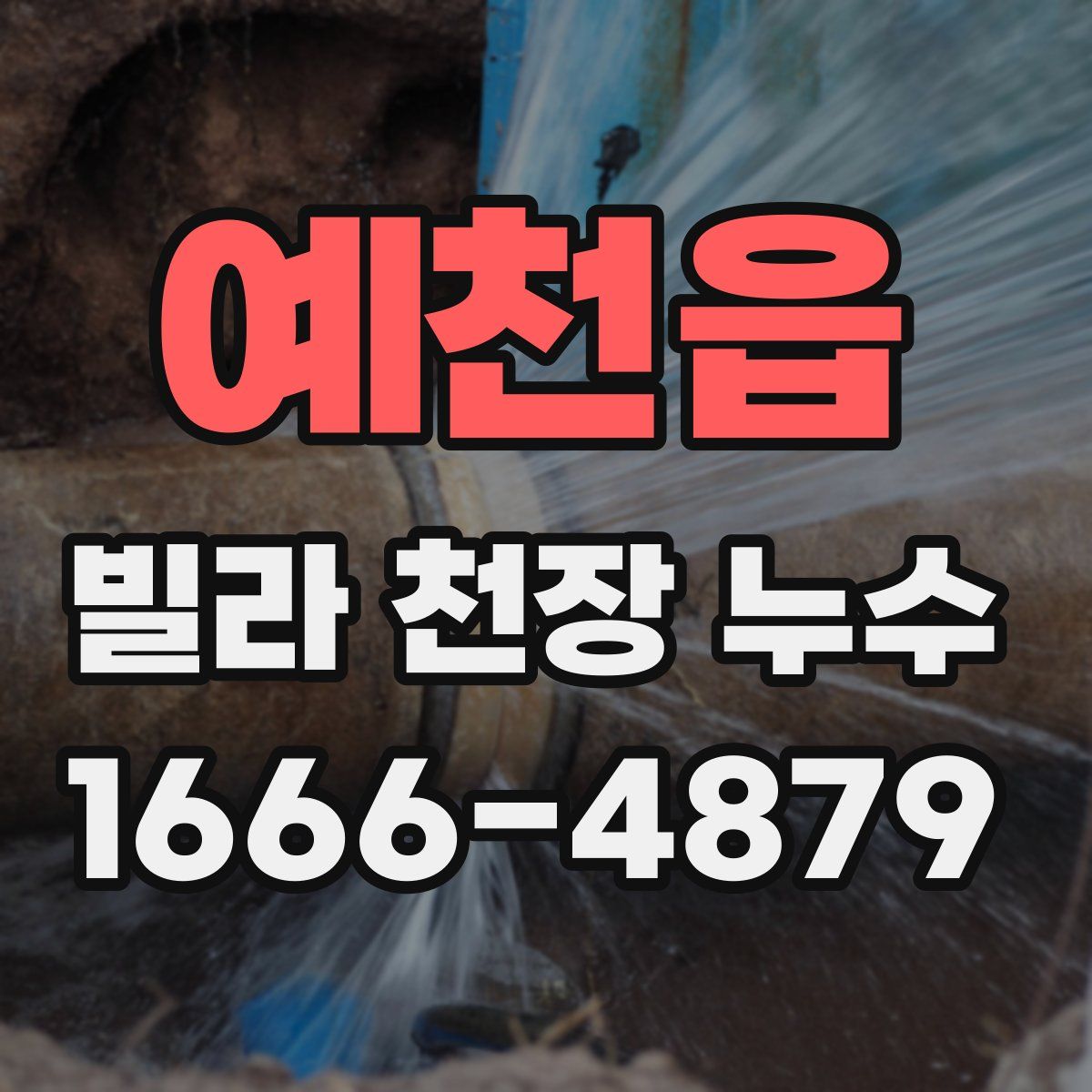 예천읍 빌라 천장 누수