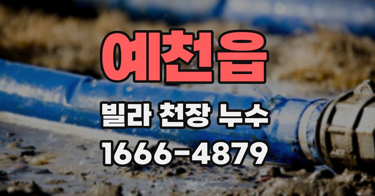 예천읍 빌라 천장 누수
