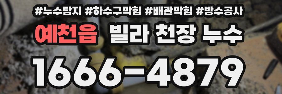 예천읍 빌라 천장 누수