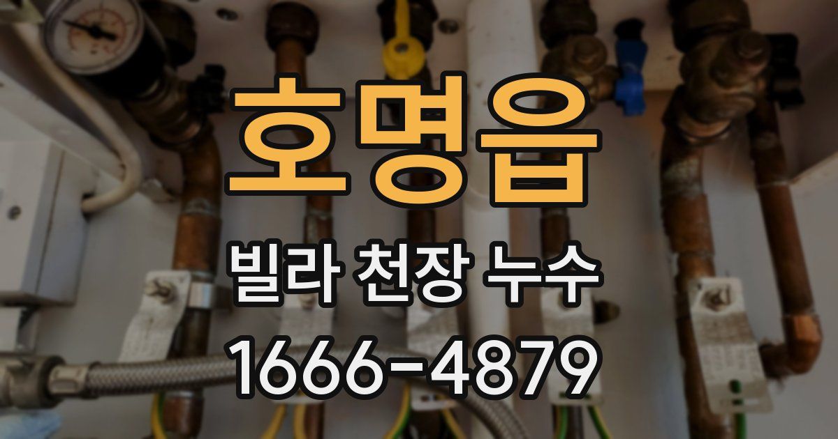 호명읍 빌라 천장 누수
