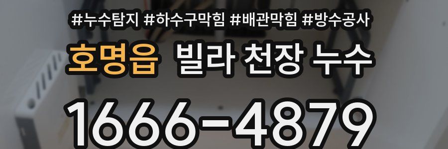 호명읍 빌라 천장 누수