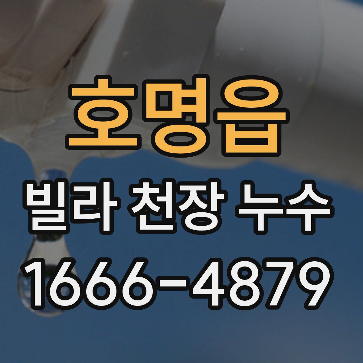호명읍 빌라 천장 누수