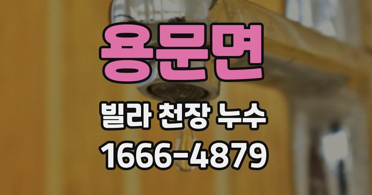 용문면 빌라 천장 누수