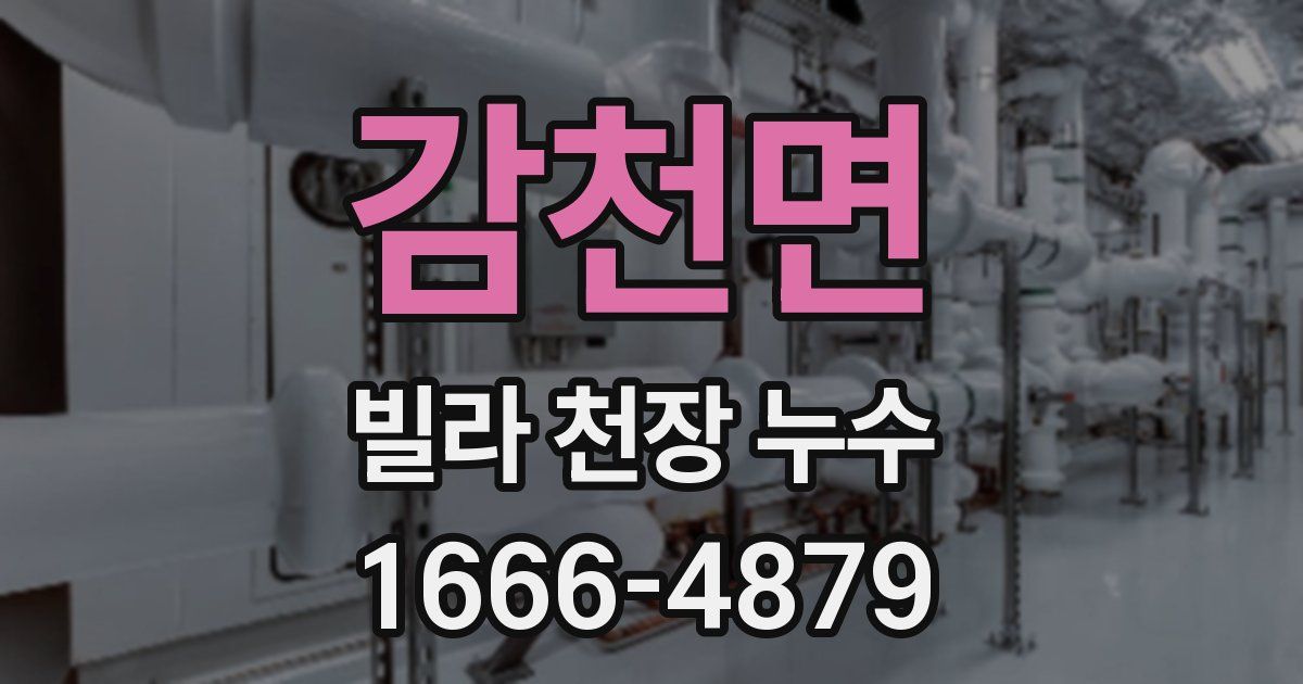 감천면 빌라 천장 누수
