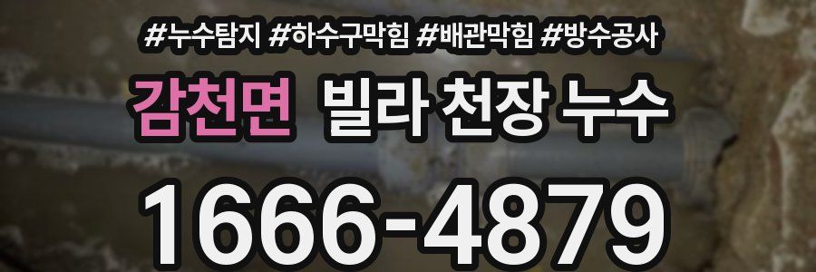 감천면 빌라 천장 누수