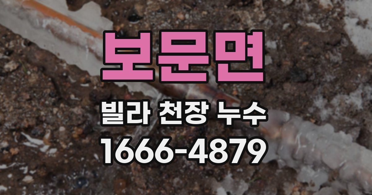 보문면 빌라 천장 누수