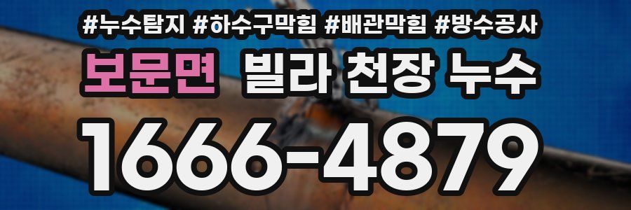 보문면 빌라 천장 누수
