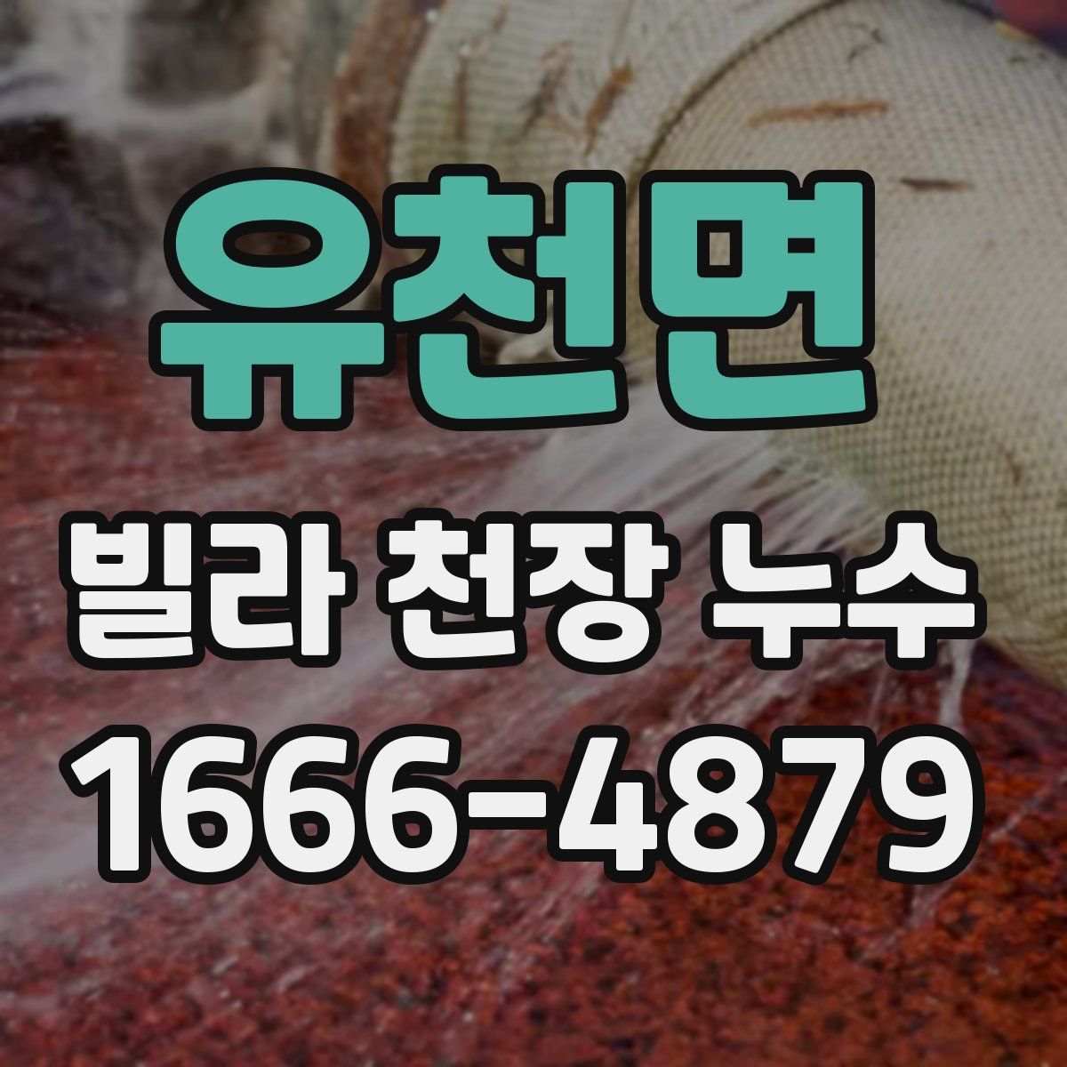 유천면 빌라 천장 누수