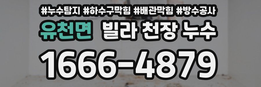 유천면 빌라 천장 누수