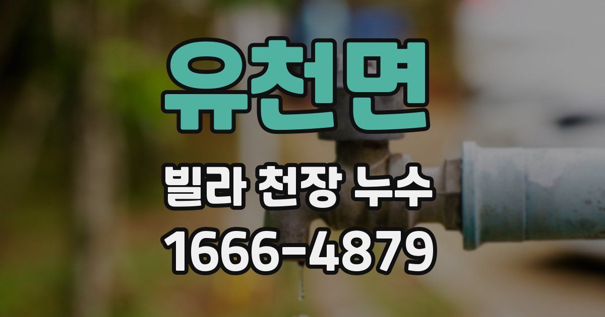 유천면 빌라 천장 누수