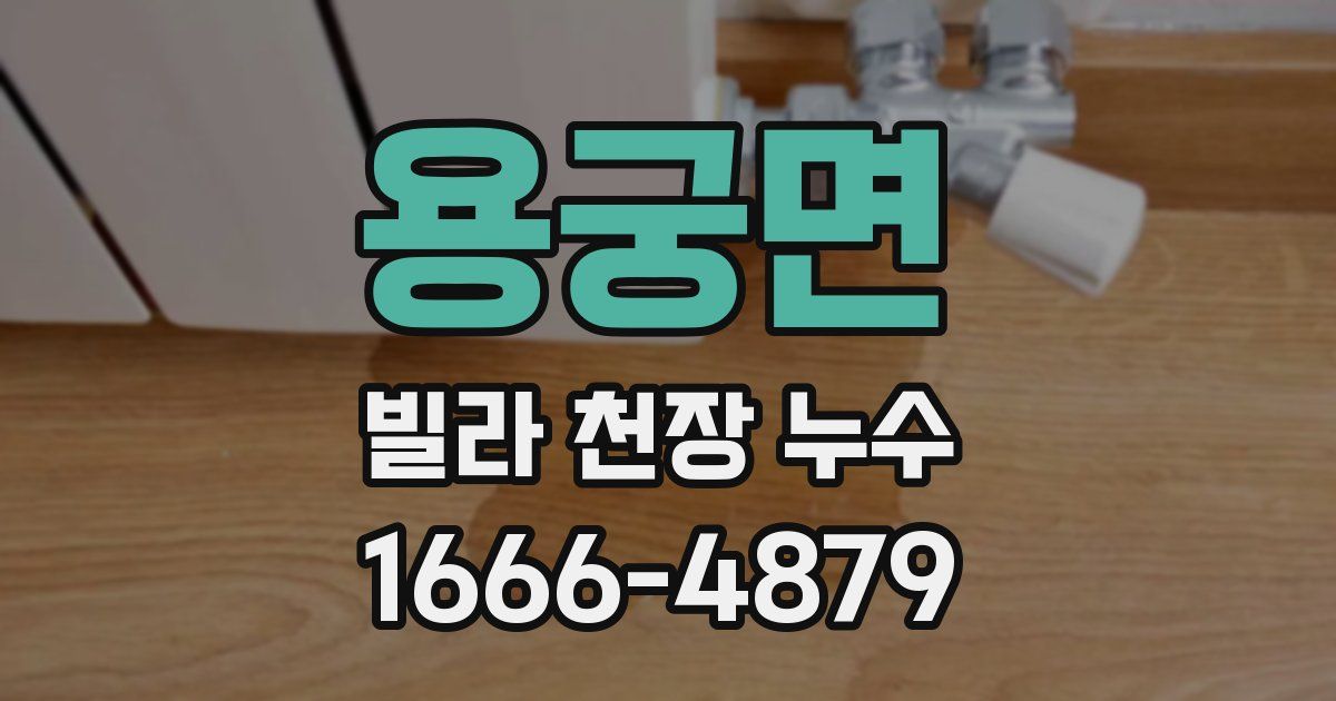 용궁면 빌라 천장 누수