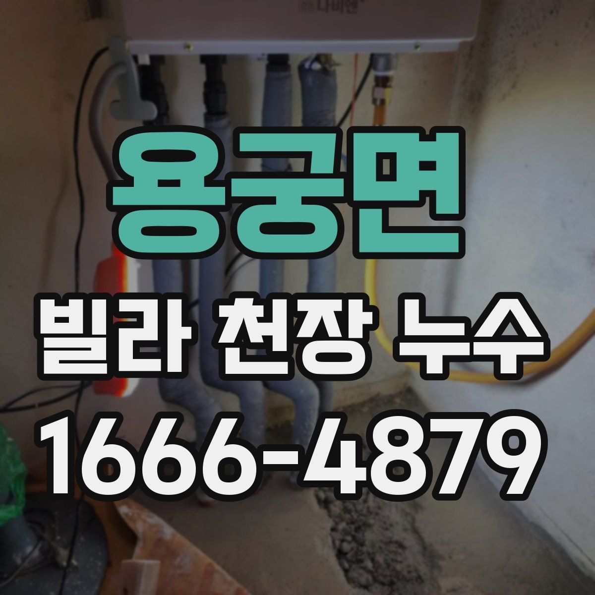 용궁면 빌라 천장 누수