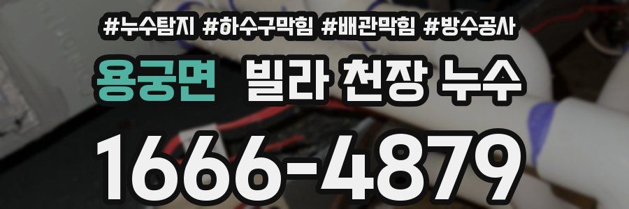 용궁면 빌라 천장 누수