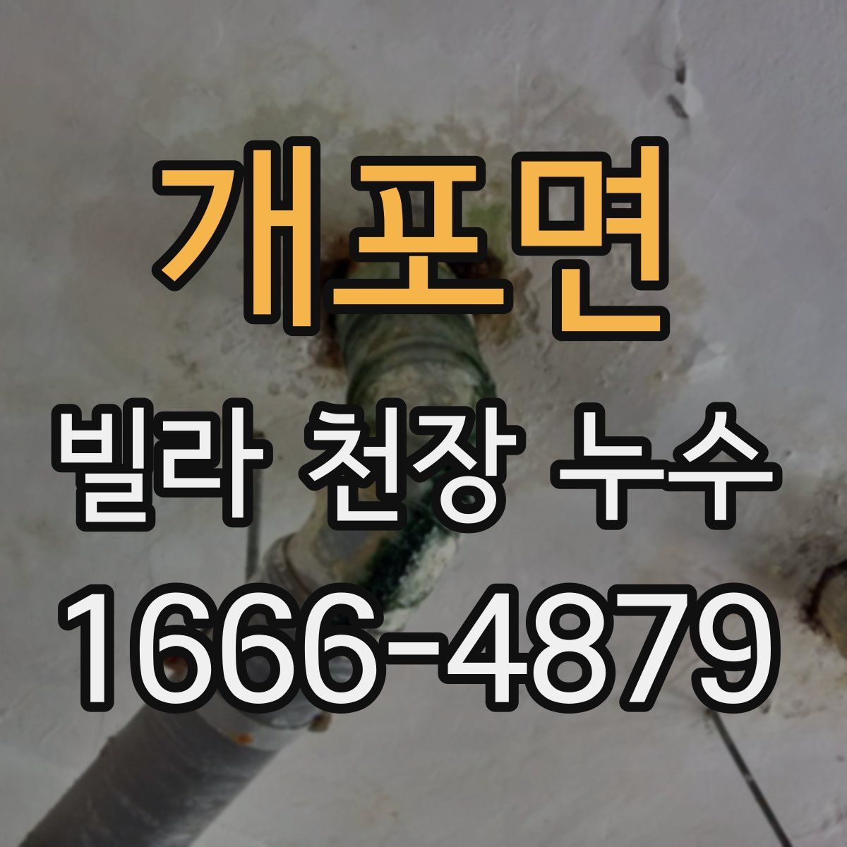 개포면 빌라 천장 누수