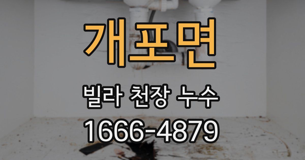 개포면 빌라 천장 누수