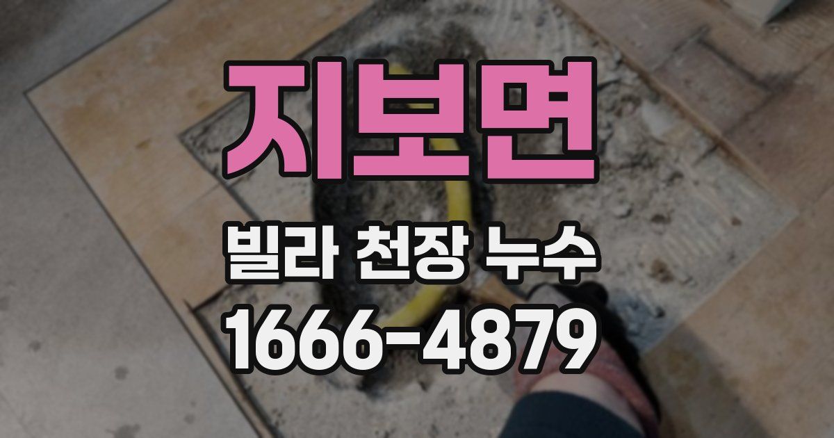 지보면 빌라 천장 누수