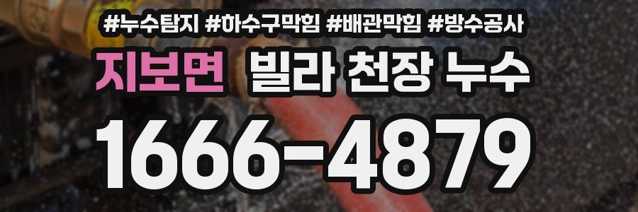 지보면 빌라 천장 누수