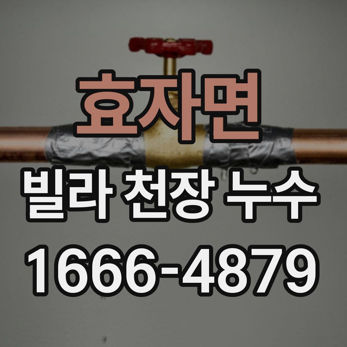 효자면 빌라 천장 누수