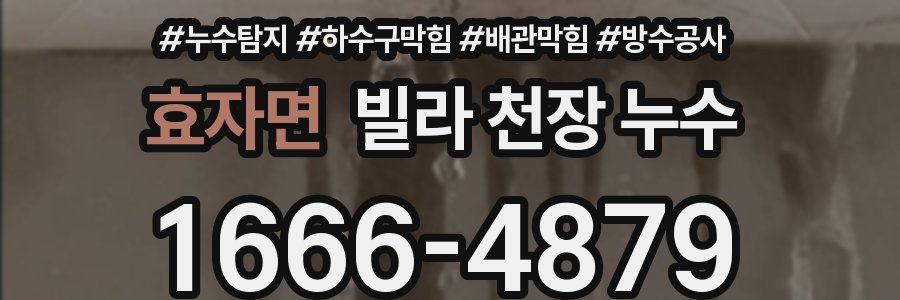 효자면 빌라 천장 누수