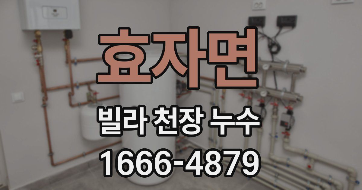 효자면 빌라 천장 누수