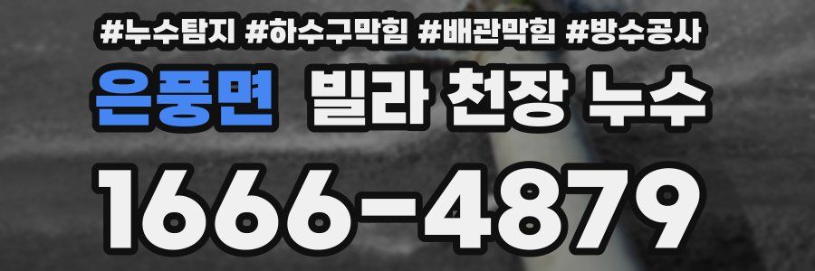 은풍면 빌라 천장 누수