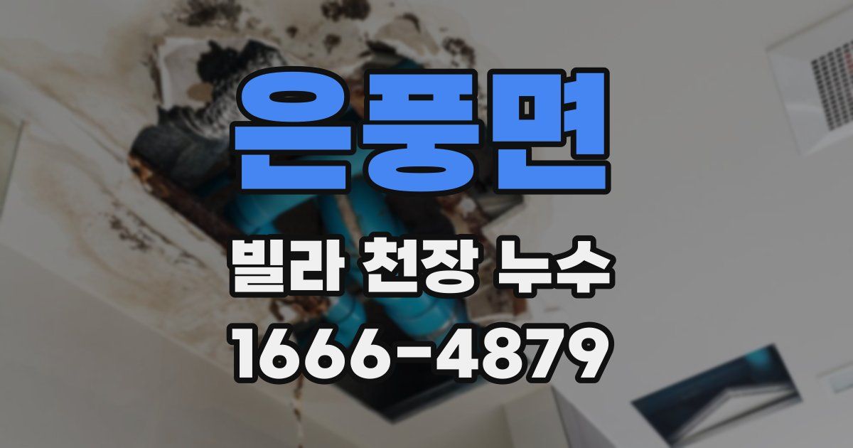 은풍면 빌라 천장 누수