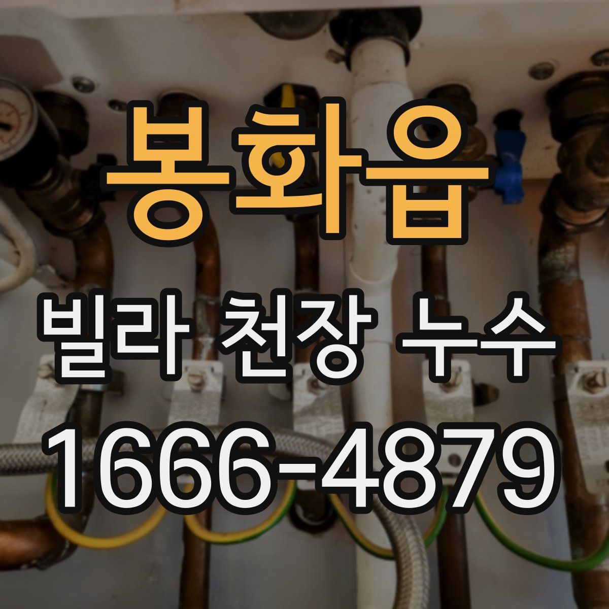 봉화읍 빌라 천장 누수