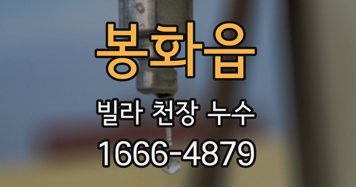 봉화읍 빌라 천장 누수